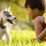Cómo Enseñar A Los Hijos A Ser Empáticos Con Los Animales Y El Medio Ambiente