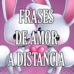 ¿Cuál es la mejor manera de compartir pensamientos en Twitter sobre tu relación a larga distancia?