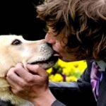 Dónde encontrar a alguien que tenga una pasión por los animales.