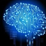 El impacto de la inteligencia en la atracción en línea.