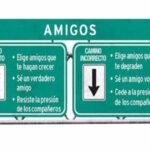 Consejos para no perderlo: 2 acciones que debes tomar y 2 que nunca debes hacer.