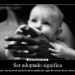 Hijo mío, no te llevé en mi vientre, pero sí en mi corazón creciste