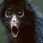 Identifica los 8 hábitos que te convierten en una persona molesta