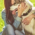 Lo Que Mi Perro Aporto A Mi Vida Razones Para Tener Una Mascota