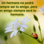 Tener Un Hermano Es Tener Un Complice Y Amigo Para Toda La Vida