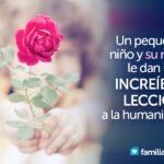 Un Pequeno Nino Y Su Rosa Le Dan Una Increible Leccion A La Humanidad