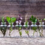 4 Grandes Razones Para Sembrar Tu Propia Medicina Y Sus Beneficios