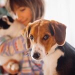 6 Beneficios De Tener Una Mascota En Casa