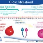 Cuando El Sangrado Entre Periodos Significa Que Quedaste Embarazada