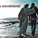 Ser Un Padre Ideal No Es Producto De Una Formula Magica Bastan Estos 5 Pasos