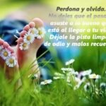 Si Perdonas Tambien Debes Olvidar