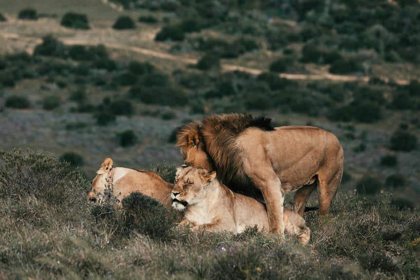 compatibilidad entre acuario y leo