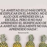 Reunión de amigos en la adversidad: La verdadera amistad en juicio.
