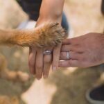 Hormigueo en las manos y los pies: Ansiedad y tratamiento: Salud y bienestar