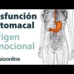 Por qué siento un nudo en mi estómago: ansiedad y emociones somatizadas