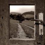 Una puerta se cierra y una ventana se abre: Oportunidades después de los cierres
